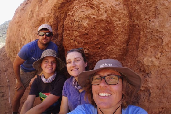 Scientists stunned to discover oldest inhabited termite mounds have ...