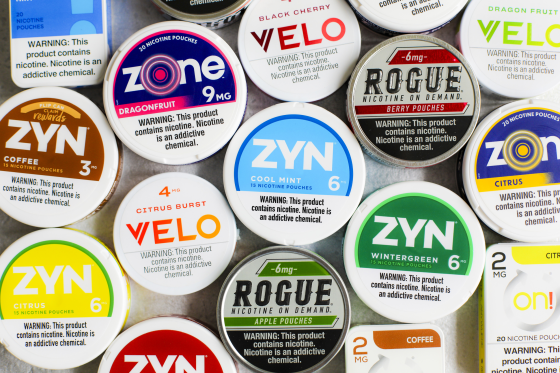 Zyn and nicotine mouth pouch products