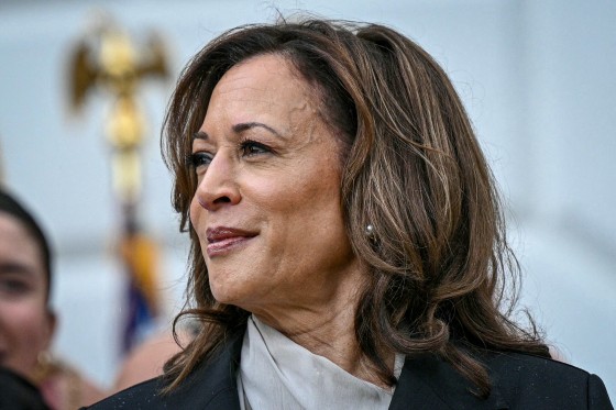 Kamala Harris' candidacy reshapes strategies for key House and Senate races