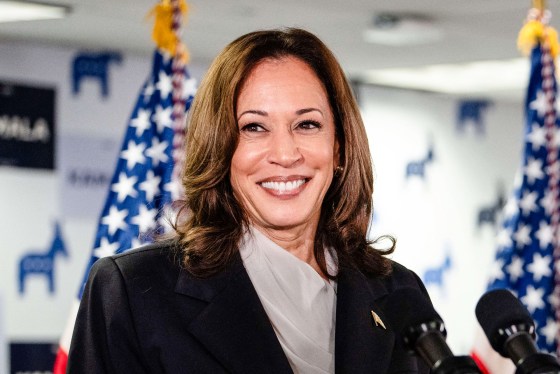 Harris' challenge ahead: Winning over swing voters