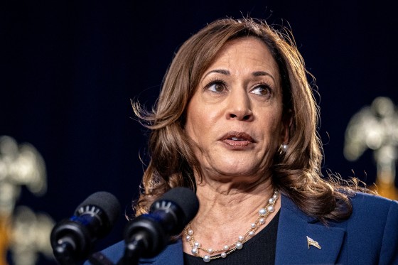 Kamala Harris, labeled a 'DEI candidate,' makes her latest recipient of  emerging insult