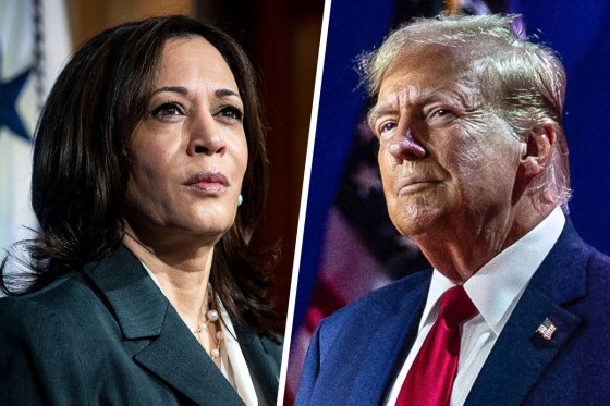 kamala harris donald trump politics political politician politicians