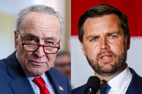 A split composite of Chuck Schumer and JD Vance.