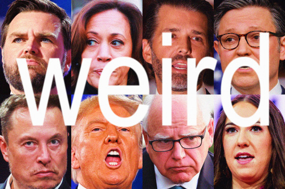 Photos of JD Vance, Kamala Harris, Donald Trump Jr., Mike Johnson, Elon Musk, Donald Trump, Tim Walz and LibsofTikTok operator Chaya Raichik with the word "weird" across them.