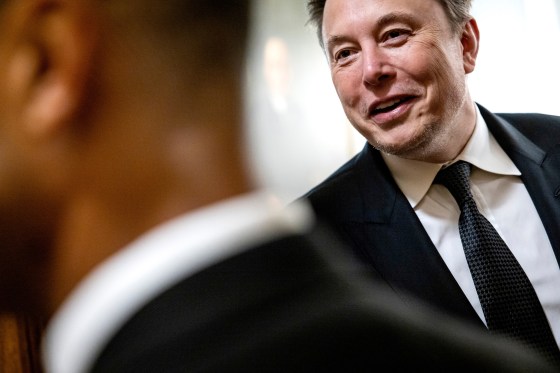 Elon Musk smiles