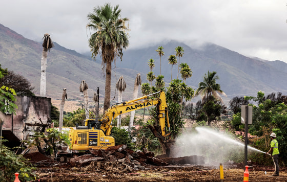 Image: Maui Prepares For 1 Year Anniversary Of Deadly Widlfires