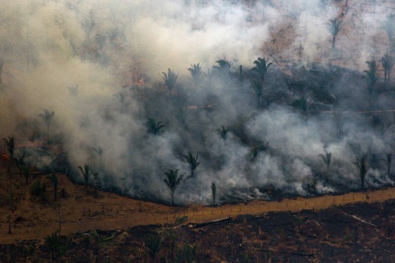 Smoke billows from a patch of forest being cleared with fire in the Amazon basin in northwestern Brazil