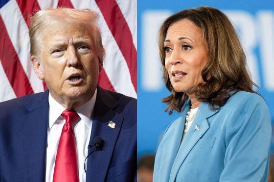 A side by side split of Donald Trump and Kamala Harris.