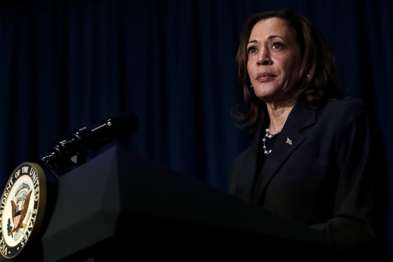 U.S. Vice President Kamala Harris attends a moderated conversation with former Trump administration national security official Olivia Troye and former Republican voter Amanda Stratton on July 17, 2024 in Kalamazoo, Michigan.