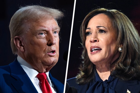 A side by side split of Donald Trump and Kamala Harris.