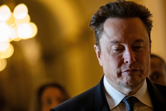Tesla CEO Elon Musk at the Capitol on July 24, 2024.