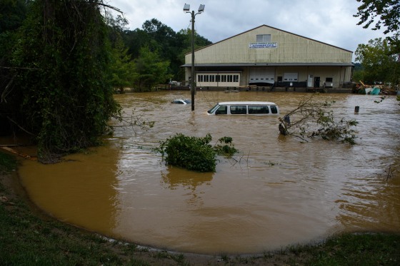 Yellow jackets swarm after North Carolina floods, prompting need for ...