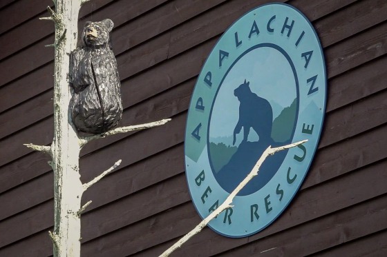 The Appalachian Bear Rescue sign