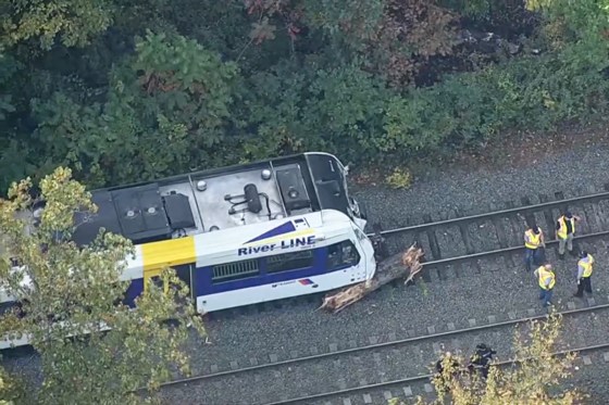 A train on a track is stopped in front of a fallen tree part