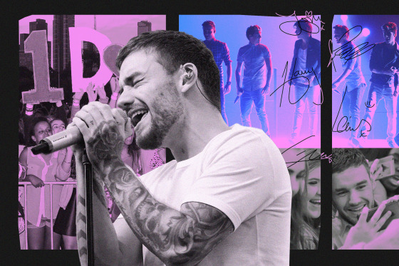 Collage of photos of Liam Payne performing and with fans; One Direction fans; One Direction on stage.