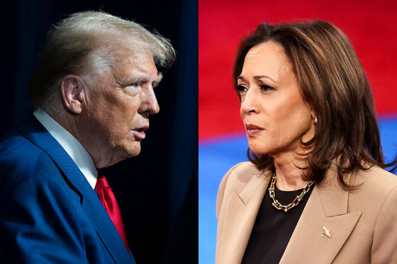 Where the polls of the Harris-Trump race could be off: From the Politics  Desk