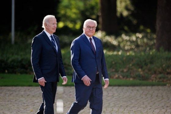 Frank-Walter Steinmeier and Joe Biden