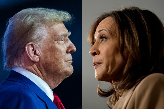 Former President Donald Trump and Vice President Kamala Harris.