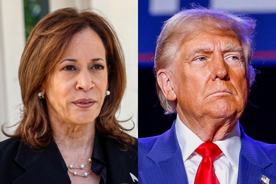 A split composite of Harris and Trump.