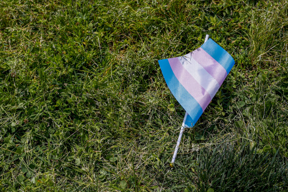 A transgender flag sits on the grass.