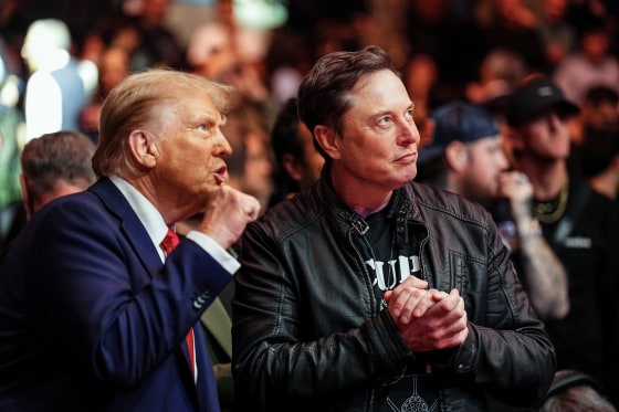 President-elect Donald Trump and Elon Musk