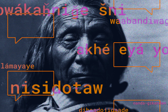 Blue-toned archival photograph of a headshot of Chief Red Cloud. Overlayed are several orange text bubbles, and orange words and phrases from both the Lakota and Ojibwe languages.