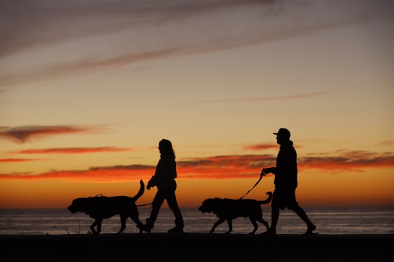 San Diego La Jolla Sunset