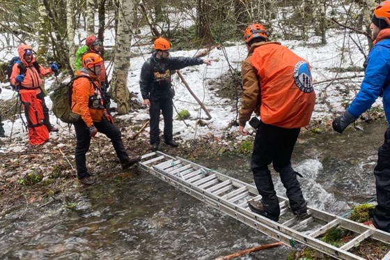 Search and rescue personnel in a snowy forest