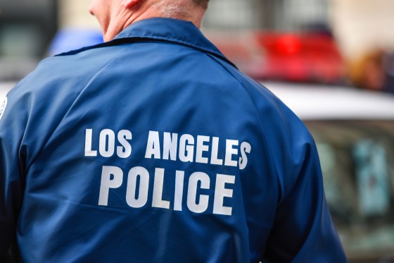 Los Angeles Police officer and car.