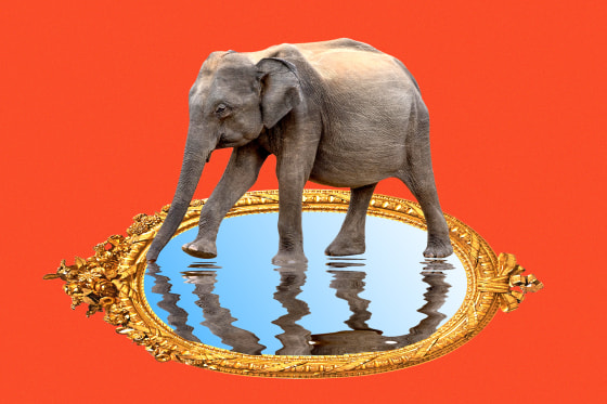 Photo illustration of elephant looking at its own reflection 