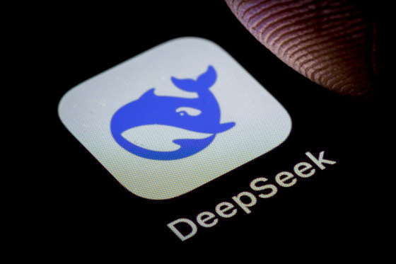 DeepSeek 应用程序