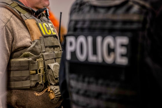 ICE Agents.