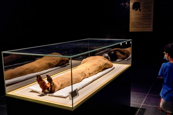 A child looks at a mummy encased in a glass exhibition box