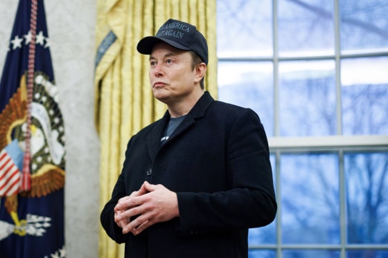 Elon Musk stands in the Oval Office in. front of a window