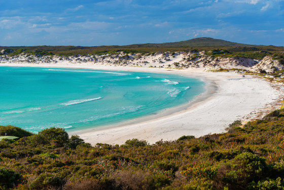 Australian surfer feared dead after shark attack, police say