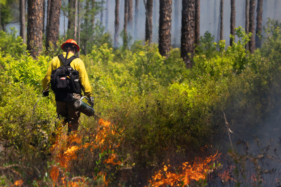 NASA scientists studying a prescribed burn at Fort Stewart, an army base in Georgia, on April 14, 2025.