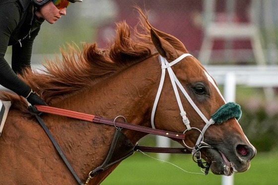 Kentucky Derby.