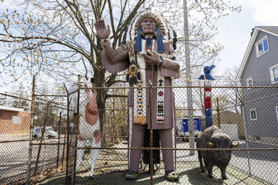 Native American Mascots Schools