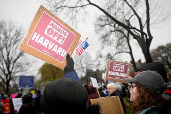 Demonstrators rally on Cambrigde Common against federal interference at Harvard University on April 12, 2025.