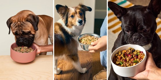 Fresh dog food lasts longer and has the nutrients your pet needs without the preservatives.