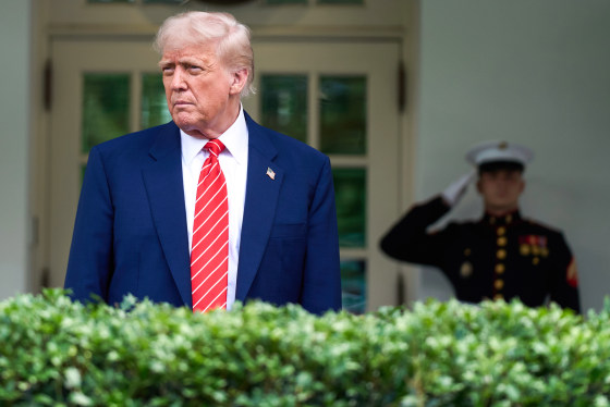 Donald Trump stands outside behind a shrub as a marine in the background salutes him