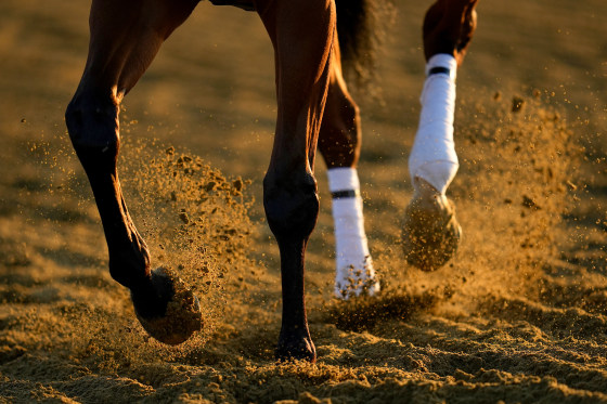 Preakness 2025 Date And Time Today 