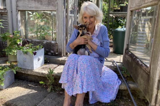 Britain's Queen Camilla holds adopted puppy Moley.