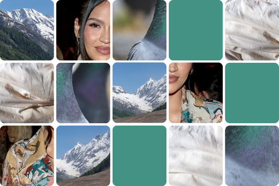 5x5 grid of obscured images