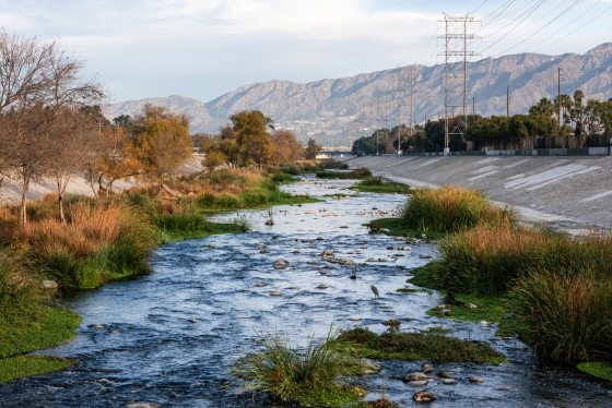 The Los Angeles River
