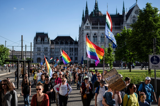 People protest outside and carry pride flags