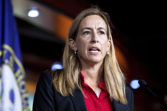 Image: mikie sherrill politics political politician