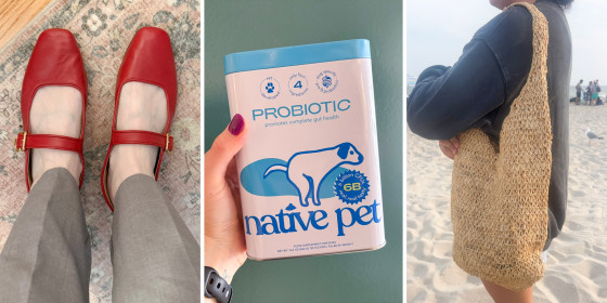 Our editors shopped for the Sam Edelman Michaela Mary Jane Flat, Native Pet Probiotics and Faherty Raffia Crochet Hobo Tote.