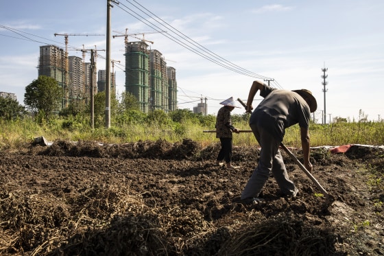 Bloomberg Best Of The Year 2021