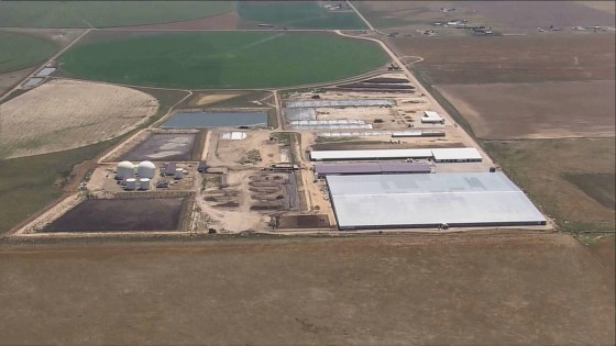 dairy accident Prospect Ranch dairy